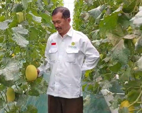 Program Profesor Penggerak UMM Ubah Desa di Pasuruan Jadi Sentra Agrowisata