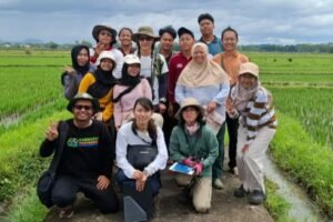Fakultas Pertanian UB Kolaborasi Penelitian dengan Universitas Jepang Teliti Prilaku Bangau di Sawah