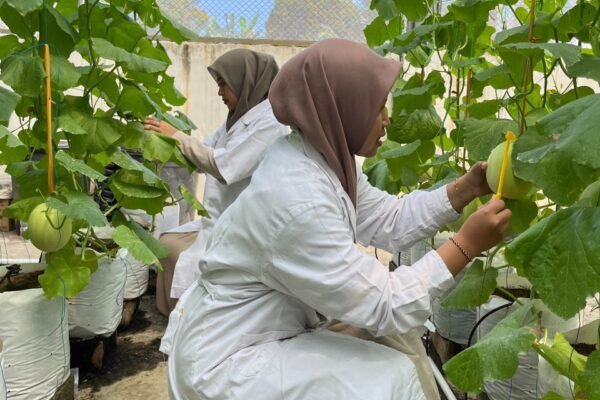 Tak Lagi Identik Lumpur dan Cangkul, Fakultas Pertanian UNISMA Malang Kenalkan Pertanian Berbasis Teknologi