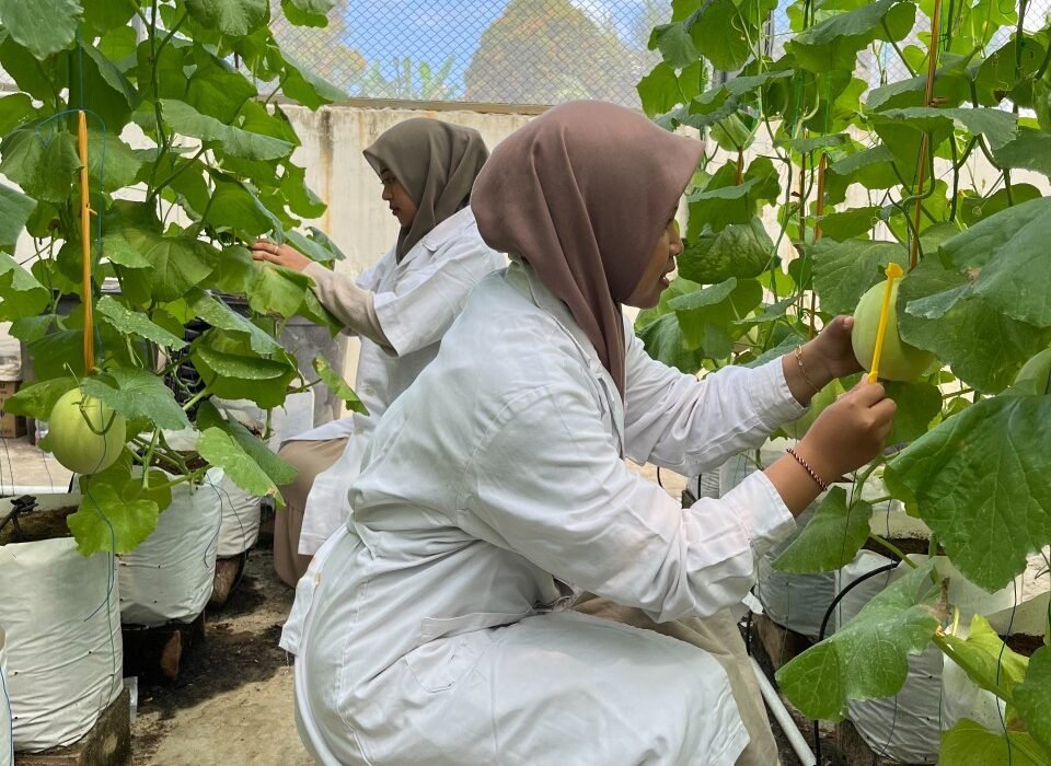 Tak Lagi Identik Lumpur dan Cangkul, Fakultas Pertanian UNISMA Malang Kenalkan Pertanian Berbasis Teknologi