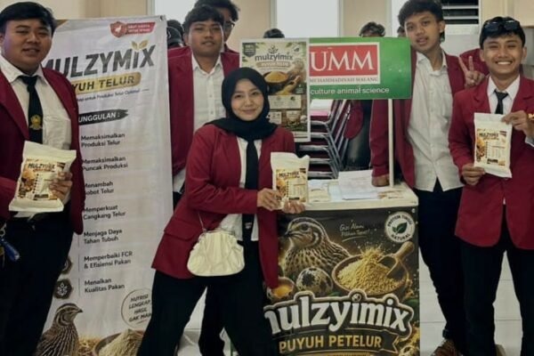 Mahasiswa UMM Ciptakan Mulzymix, Pakan Multienzim yang Bikin Produksi Telur Puyuh Lebih Optimal