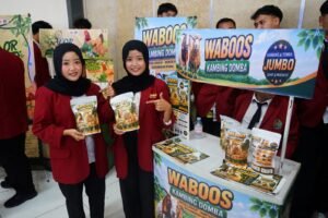 Mahasiswa UMM Ciptakan Waboos, Pakan Herbal yang Tingkatkan Imunitas dan Penyerapan Nutrisi Ternak