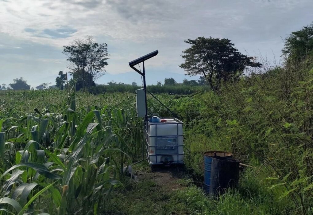Dosen Polinema Sulap Energi Surya Jadi Solusi Irigasi Otomatis di Kediri