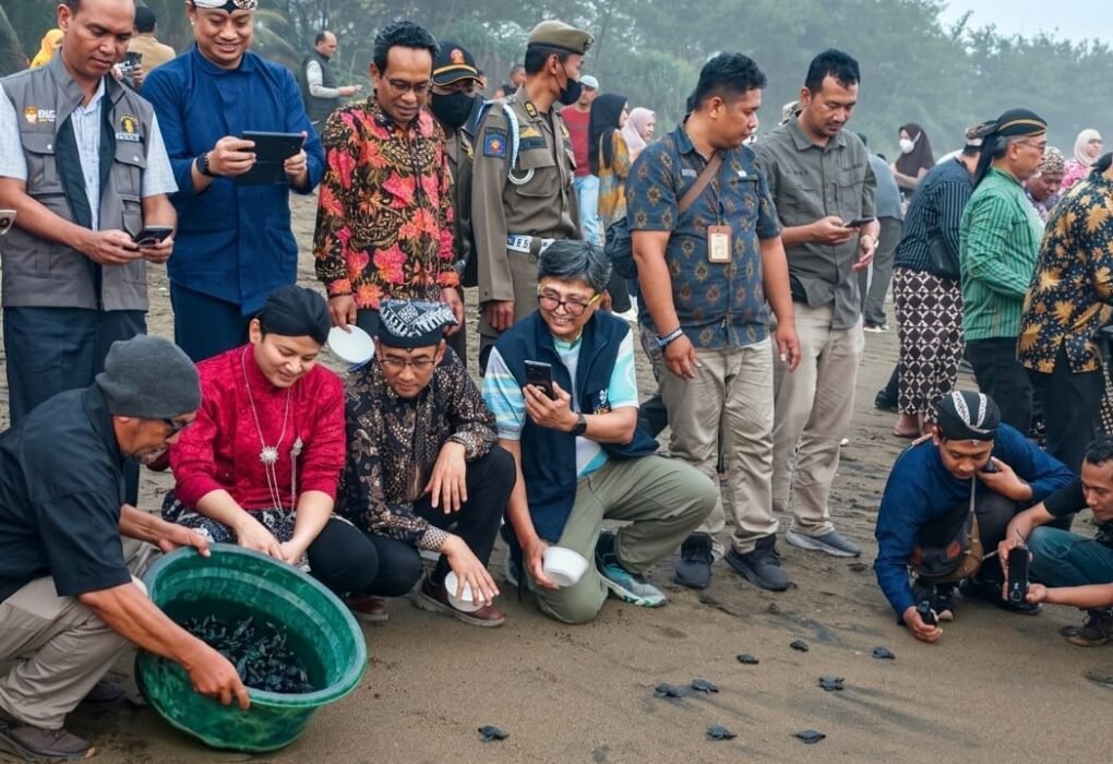 1.300 Tukik Dilepas, UB dan Pemkab Trenggalek Kembangkan Living Laboratory Pesisir