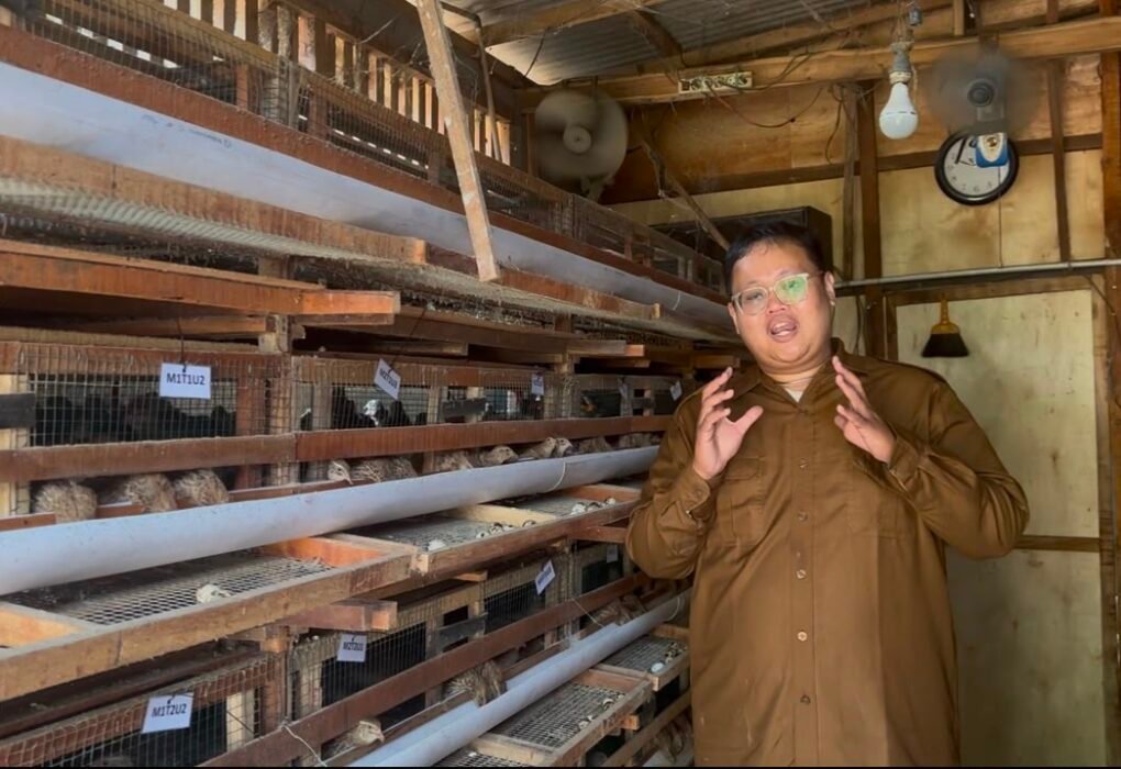 Dosen Muda UNISMA Kembangkan Pakan Fungsional, Telur Puyuh Lebih Sehat dan Ramah Lingkungan