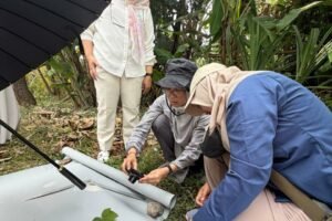 UMM Perkuat Hilirisasi Bioenergi Lewat Varietas Jarak Pagar JCUMM5