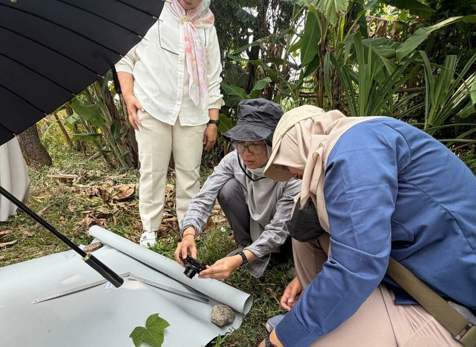 UMM Perkuat Hilirisasi Bioenergi Lewat Varietas Jarak Pagar JCUMM5