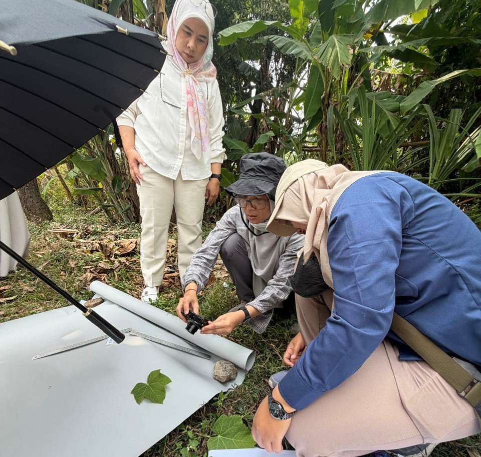 UMM Perkuat Hilirisasi Bioenergi Lewat Varietas Jarak Pagar JCUMM5