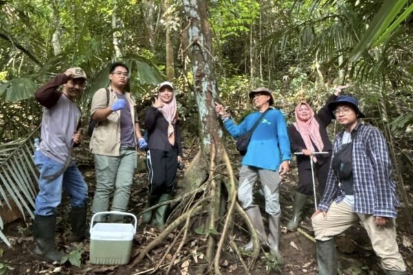 Riset UM Bongkar Jejak Kimia Pala Jawa, 123 Sinyal Metabolit Berhasil Ditemukan
