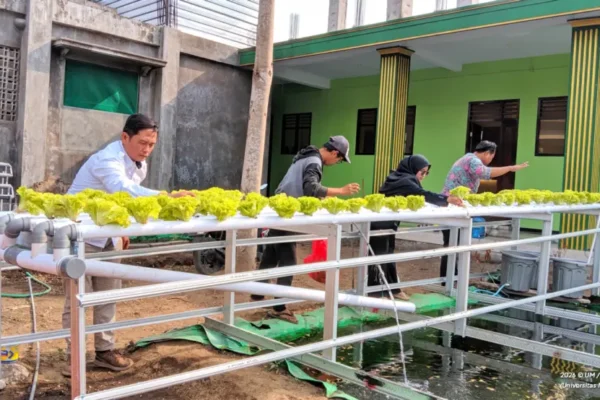 Bukan Sekadar Bertani, UM Ajari Santri Mambaul Abyad Kelola Pangan dengan Teknologi IoT