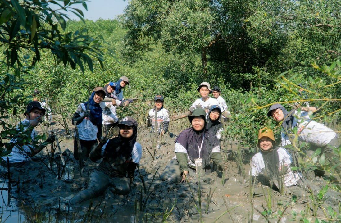 14 Mahasiswa Kehutanan UB Tanam 10.000 Mangrove di Wonorejo, Dorong Pemulihan Ekosistem Pesisir
