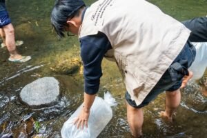 10.000 Benih Ikan Wader Ditebar, Mahasiswa FPIK UB Dorong Pelestarian Sungai di Pandanajeng