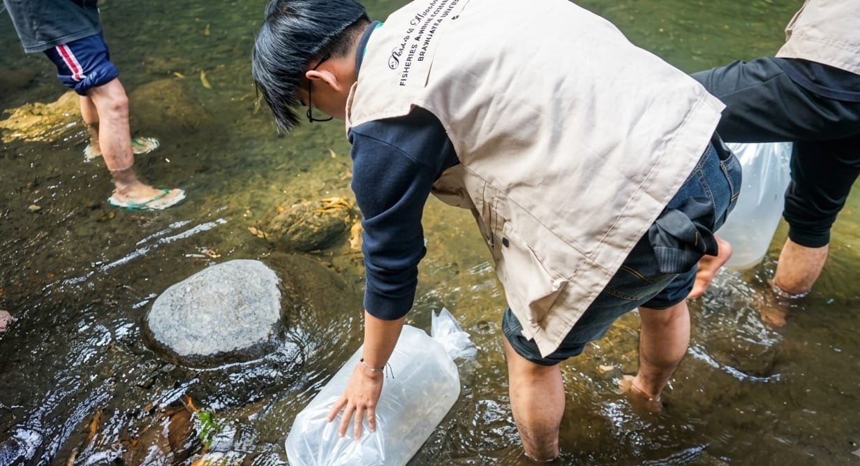 10.000 Benih Ikan Wader Ditebar, Mahasiswa FPIK UB Dorong Pelestarian Sungai di Pandanajeng