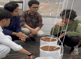 Jerami Padi Disulap Jadi Bio-Plug, Mahasiswa Polinema Cari Alternatif Pengganti Polybag
