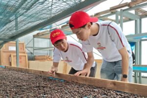 Mahasiswa Jepang Turun ke Kebun Kopi, Temukan Ide Teknologi untuk Petani
