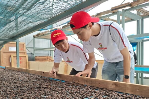Mahasiswa Jepang Turun ke Kebun Kopi, Temukan Ide Teknologi untuk Petani