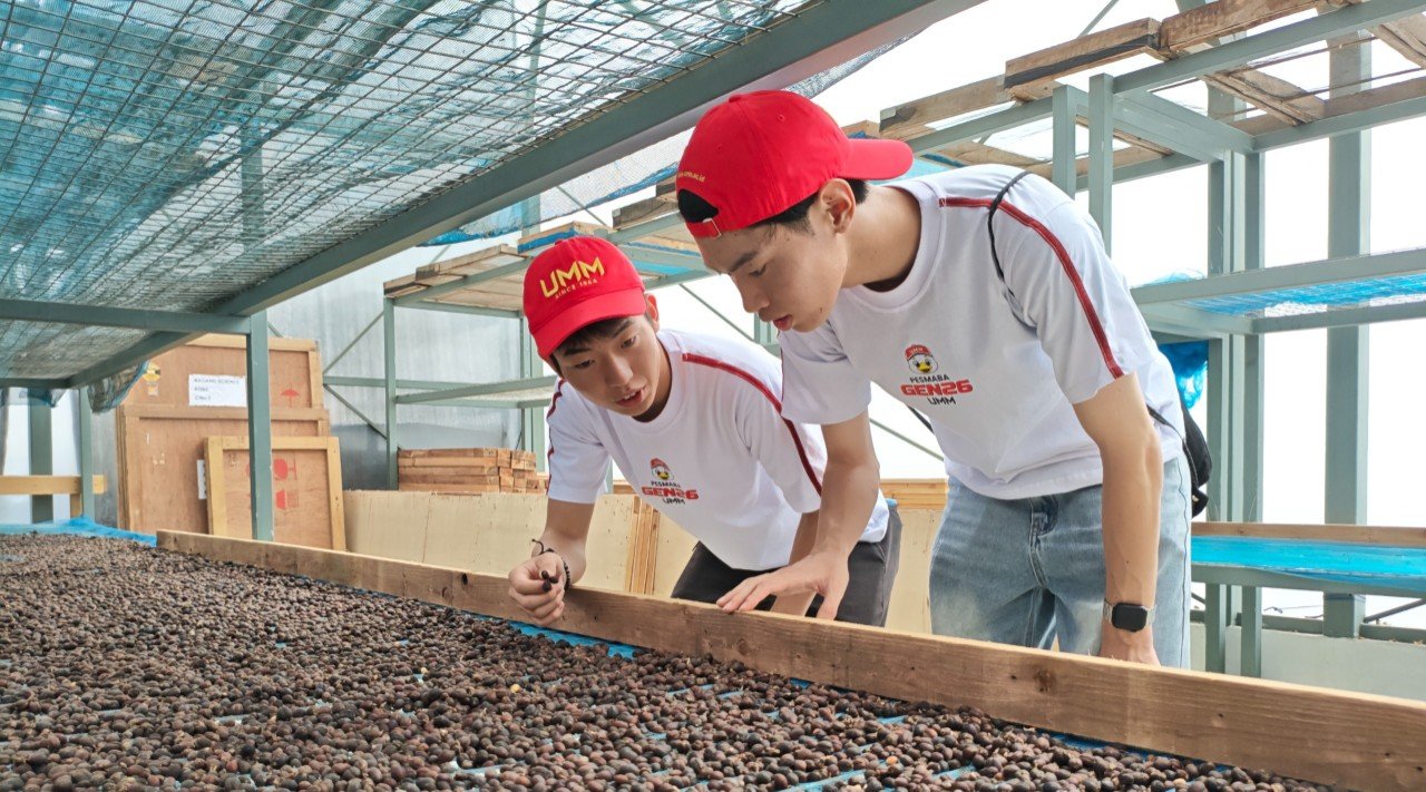 Mahasiswa Jepang Turun ke Kebun Kopi, Temukan Ide Teknologi untuk Petani