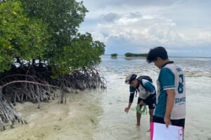 Mahasiswa UMM Rancang Teknologi untuk Pantau Karbon Biru di Pulau Terpencil
