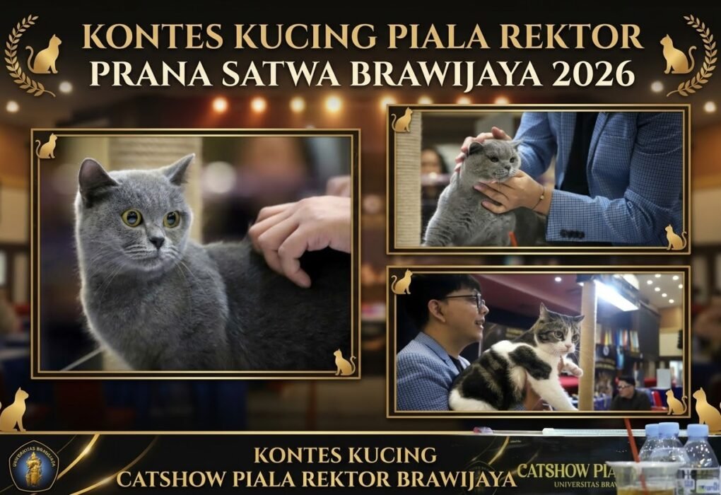 Fapet UB Perluas Panggung Satwa, dari Kontes Ayam Hias hingga Cat Show