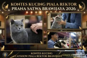 Fapet UB Perluas Panggung Satwa, dari Kontes Ayam Hias hingga Cat Show